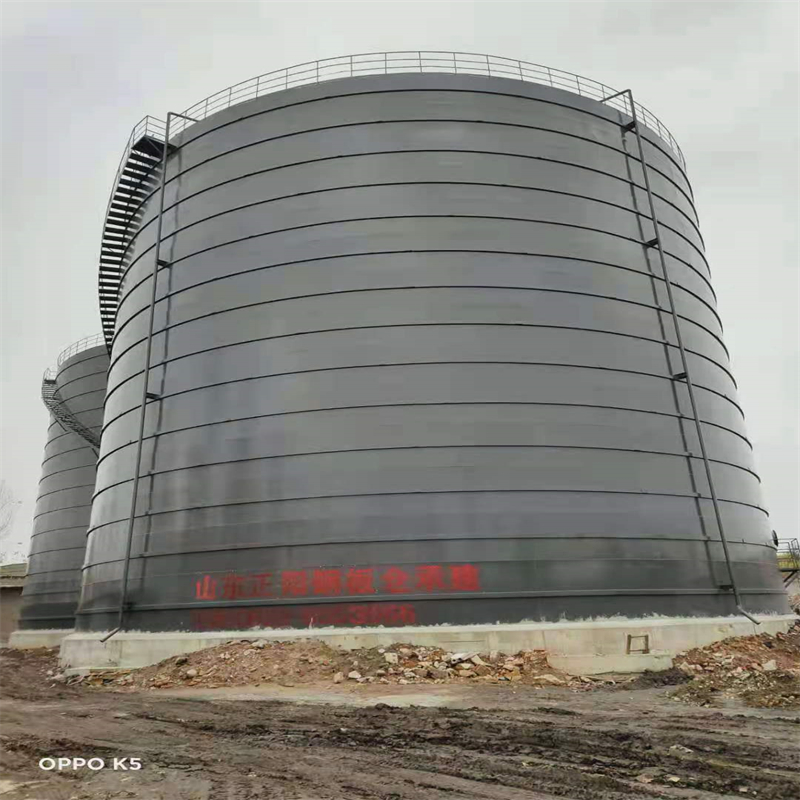 彭泽3万吨大型钢板库