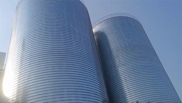 彭泽2座混凝土高架卷板仓